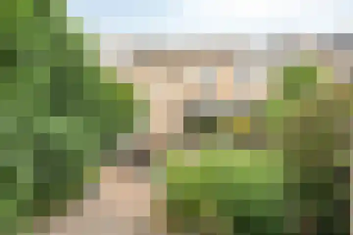 Dr. W.M. Verhaarlaan 123 Emmeloord thumbnail 21
