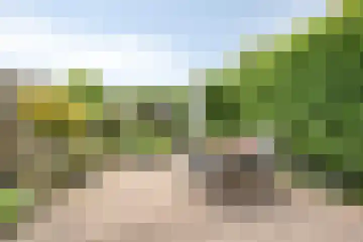 Dr. W.M. Verhaarlaan 123 Emmeloord thumbnail 23