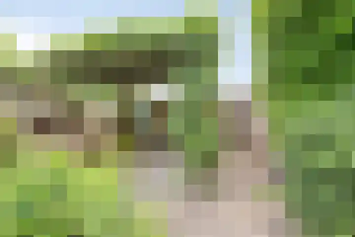 Dr. W.M. Verhaarlaan 123 Emmeloord thumbnail 24
