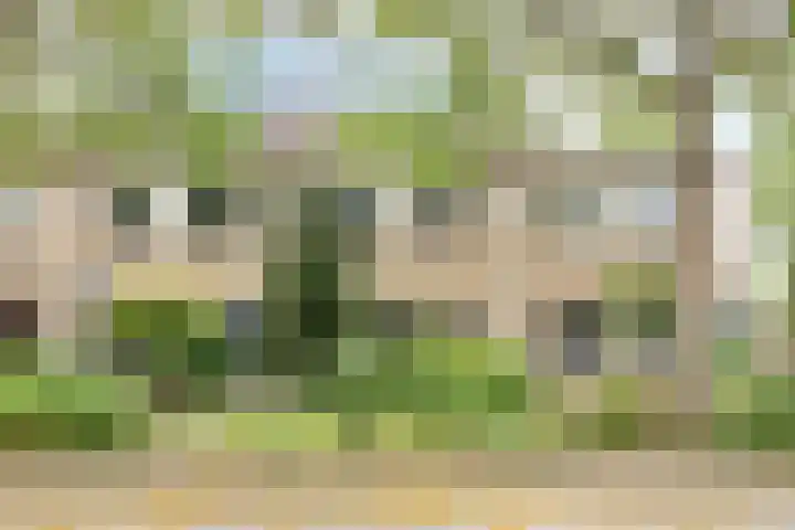 Dr. W.M. Verhaarlaan 123 Emmeloord thumbnail 26