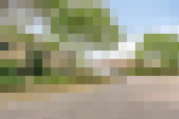 Dr. W.M. Verhaarlaan 123 Emmeloord thumbnail 27