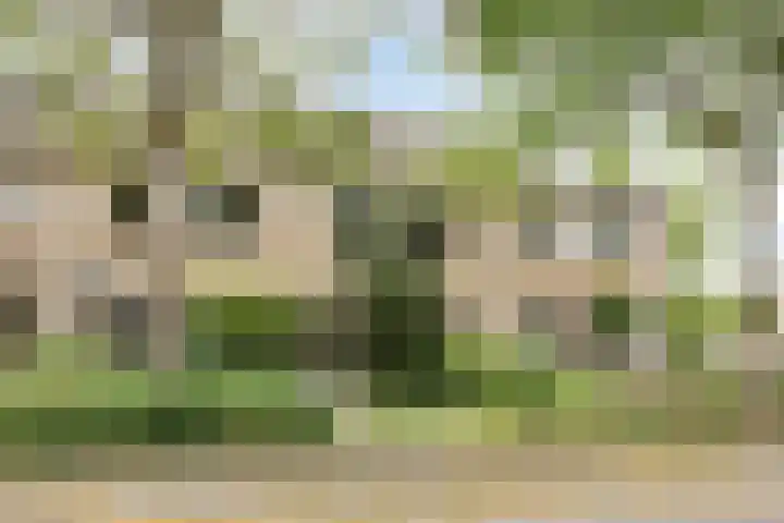 Dr. W.M. Verhaarlaan 123 Emmeloord thumbnail 34