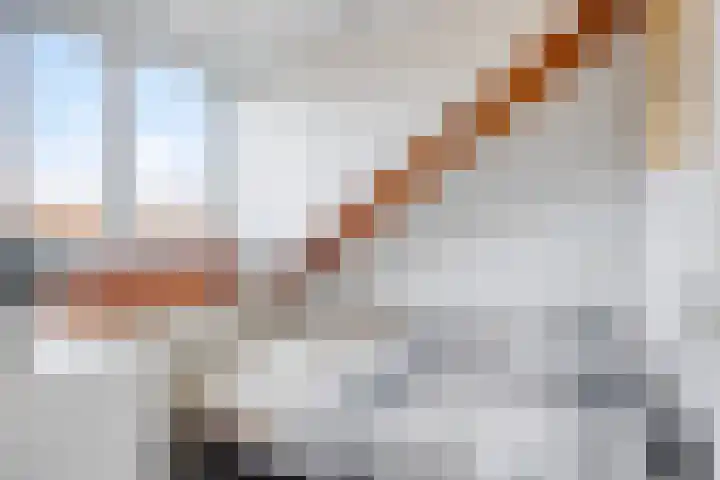 Dr. W.M. Verhaarlaan 131 Emmeloord thumbnail 24