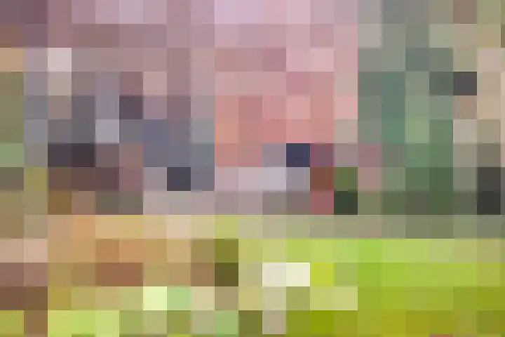 Dr. W.M. Verhaarlaan 131 Emmeloord thumbnail 31
