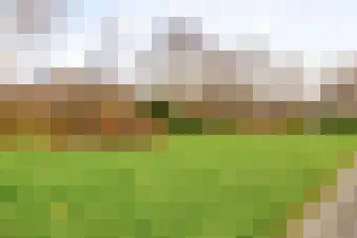 Dr. W.M. Verhaarlaan 131 Emmeloord thumbnail 36