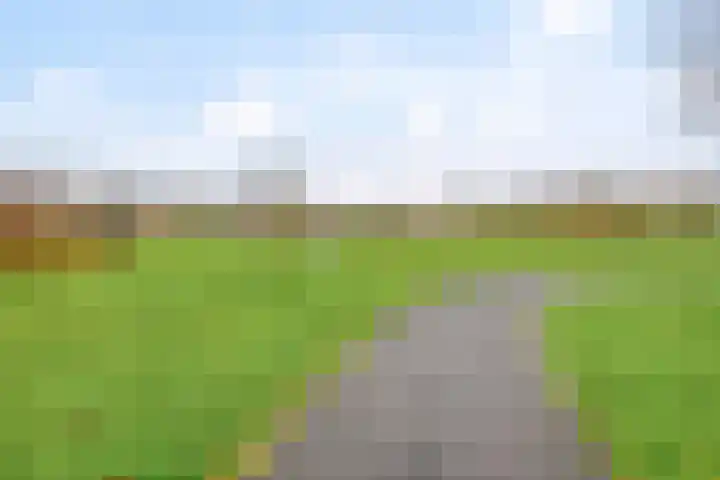 Dr. W.M. Verhaarlaan 131 Emmeloord thumbnail 37