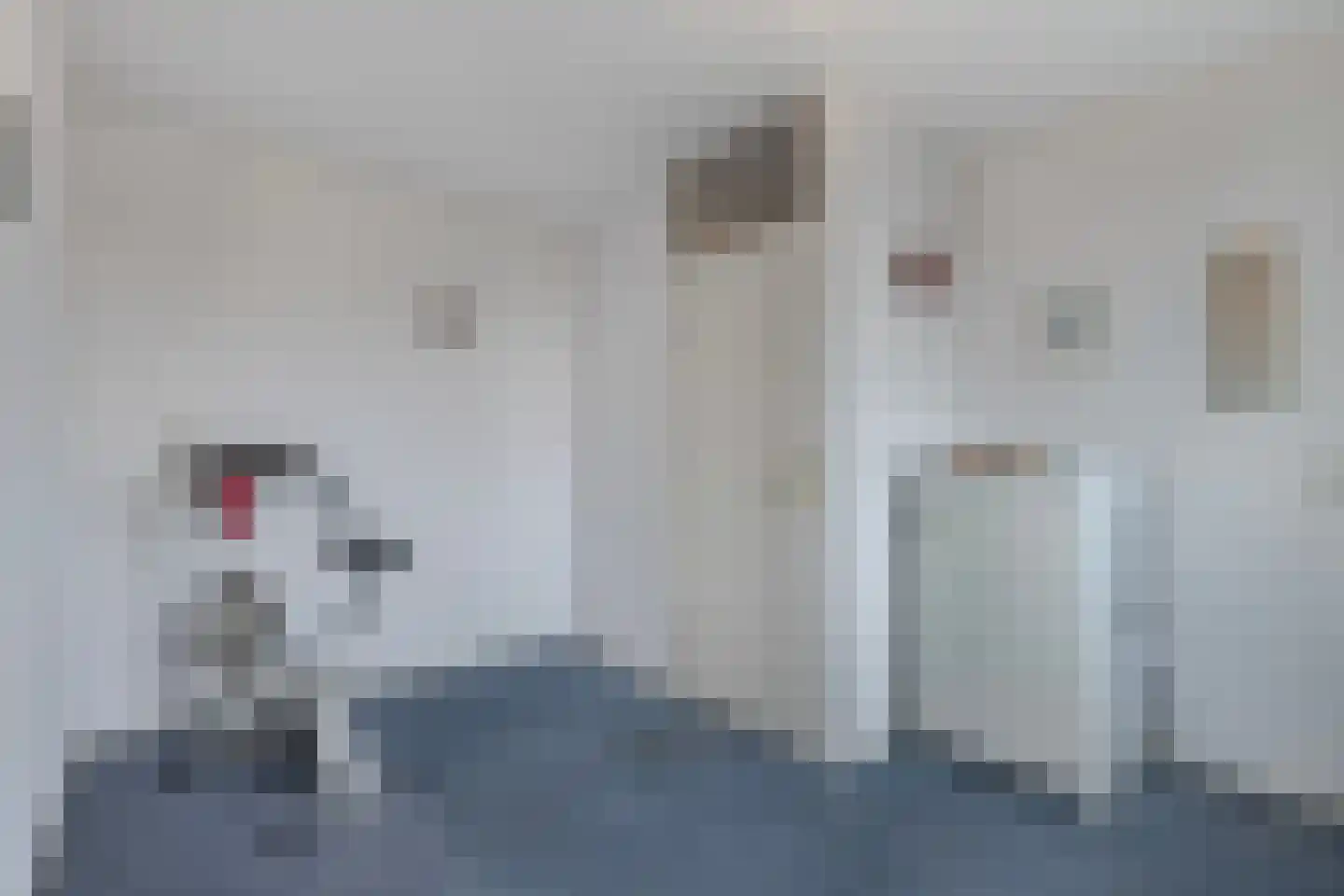 Dr. W.M. Verhaarlaan 16 Emmeloord thumbnail 20