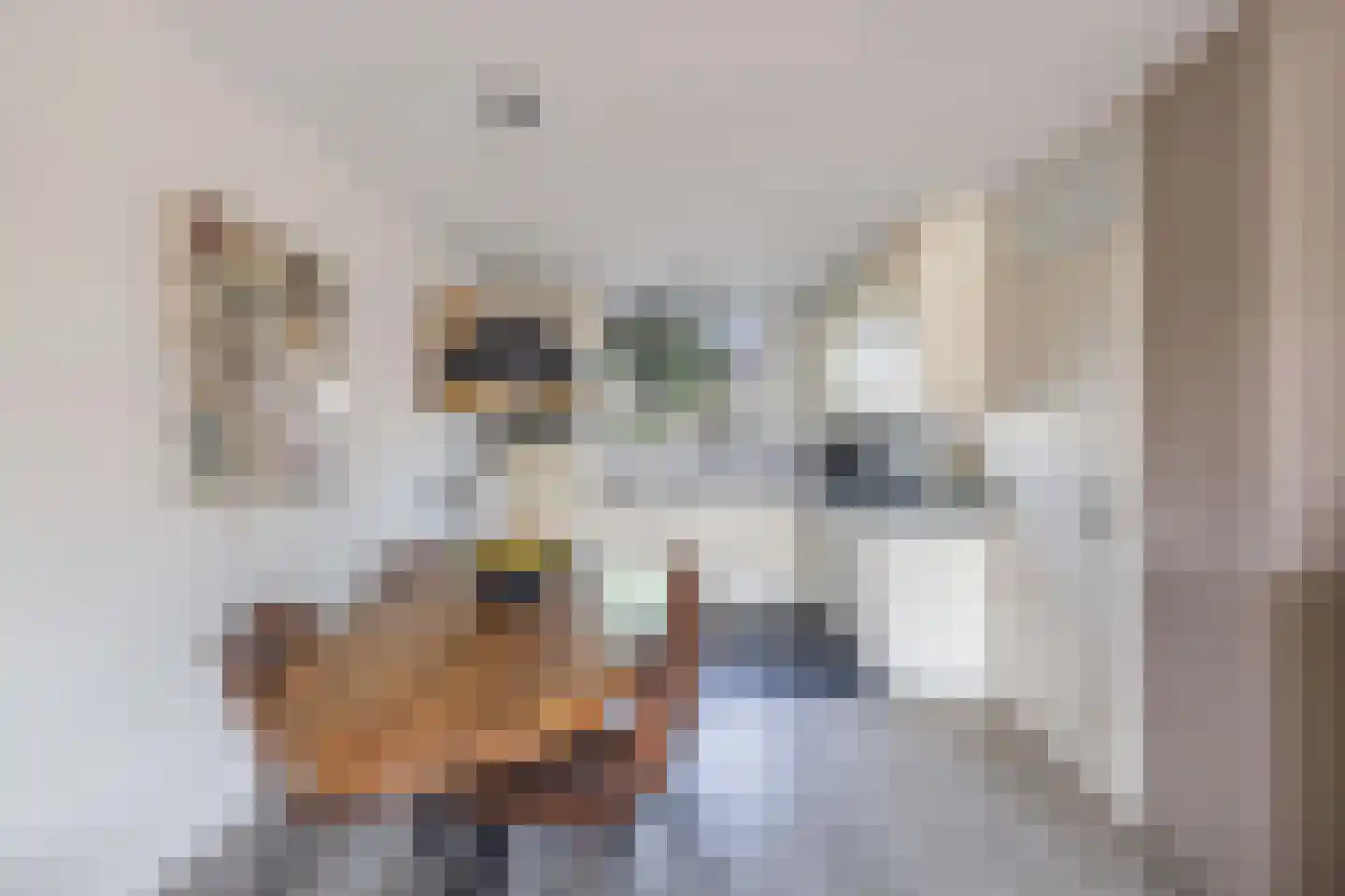 Dr. W.M. Verhaarlaan 19 Emmeloord thumbnail 19