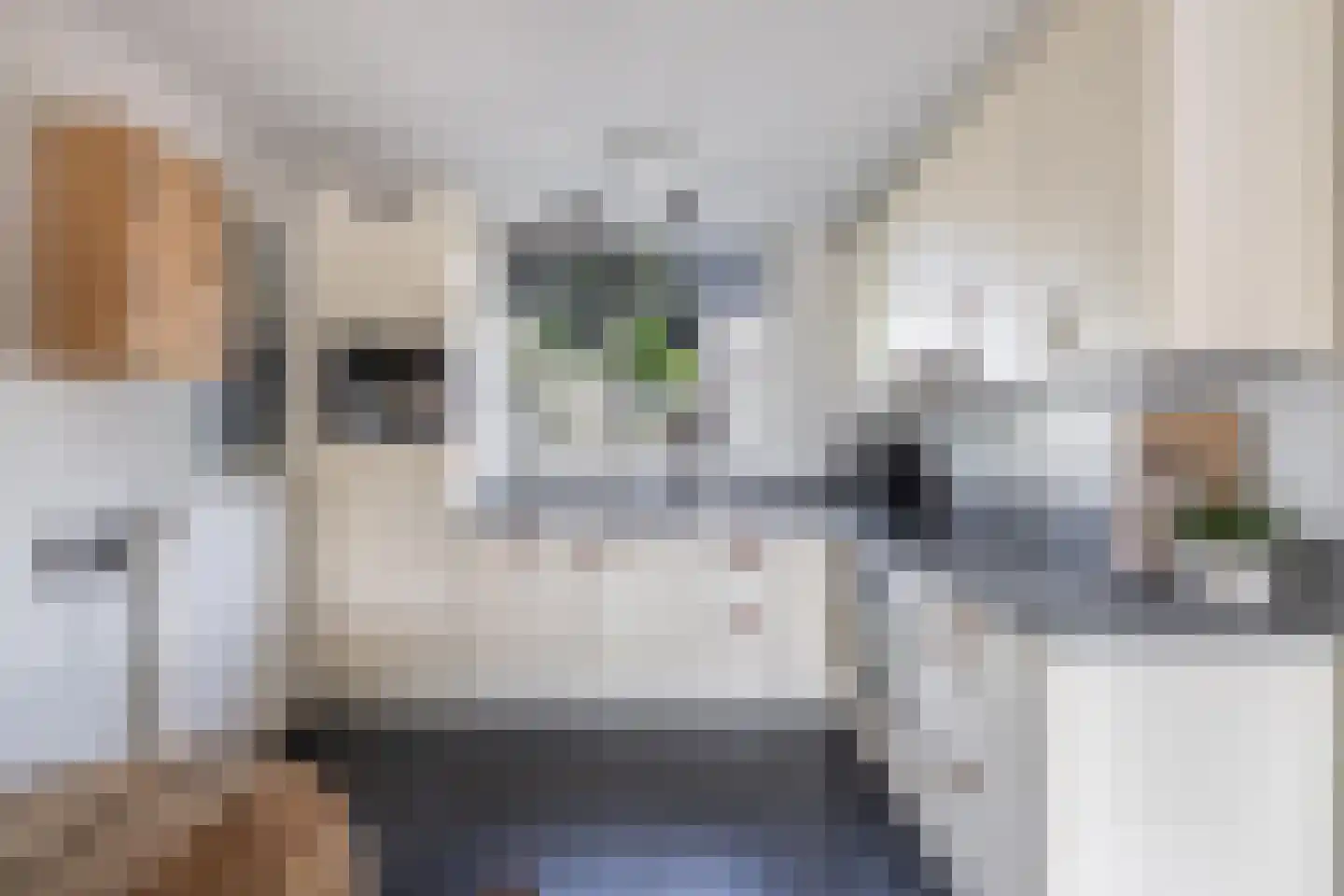 Dr. W.M. Verhaarlaan 19 Emmeloord thumbnail 20