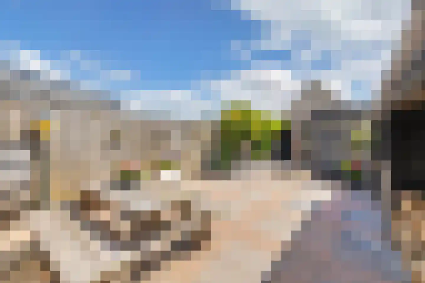 Dr. W.M. Verhaarlaan 19 Emmeloord thumbnail 39