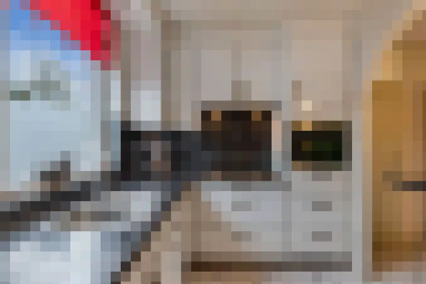 Dr. W.M. Verhaarlaan 39 Emmeloord thumbnail 7