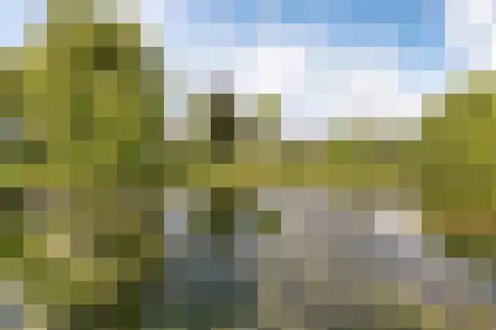 Dr. W.M. Verhaarlaan 46 Emmeloord thumbnail 23