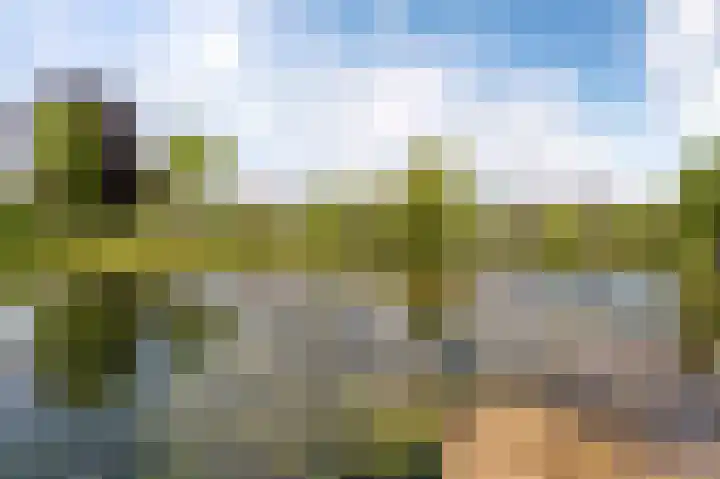 Dr. W.M. Verhaarlaan 46 Emmeloord thumbnail 24