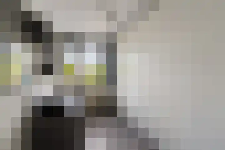 Dr. W.M. Verhaarlaan 46 Emmeloord thumbnail 30