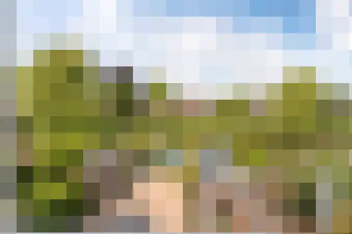 Dr. W.M. Verhaarlaan 46 Emmeloord thumbnail 31