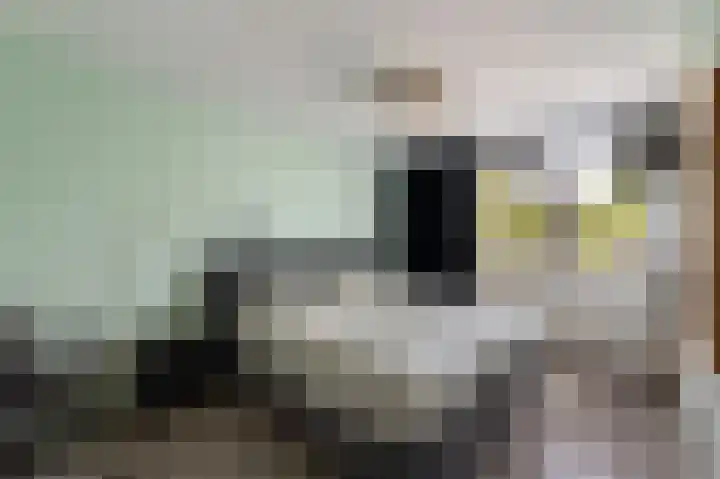 Dr. W.M. Verhaarlaan 46 Emmeloord thumbnail 34