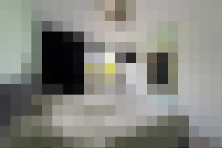 Dr. W.M. Verhaarlaan 46 Emmeloord thumbnail 35