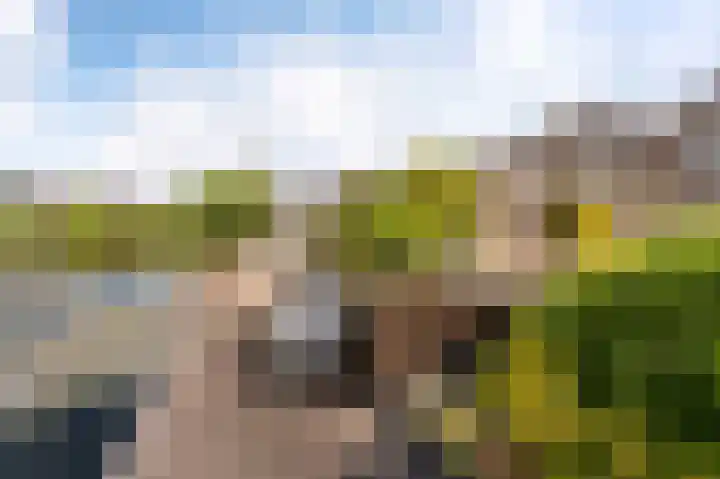 Dr. W.M. Verhaarlaan 46 Emmeloord thumbnail 4