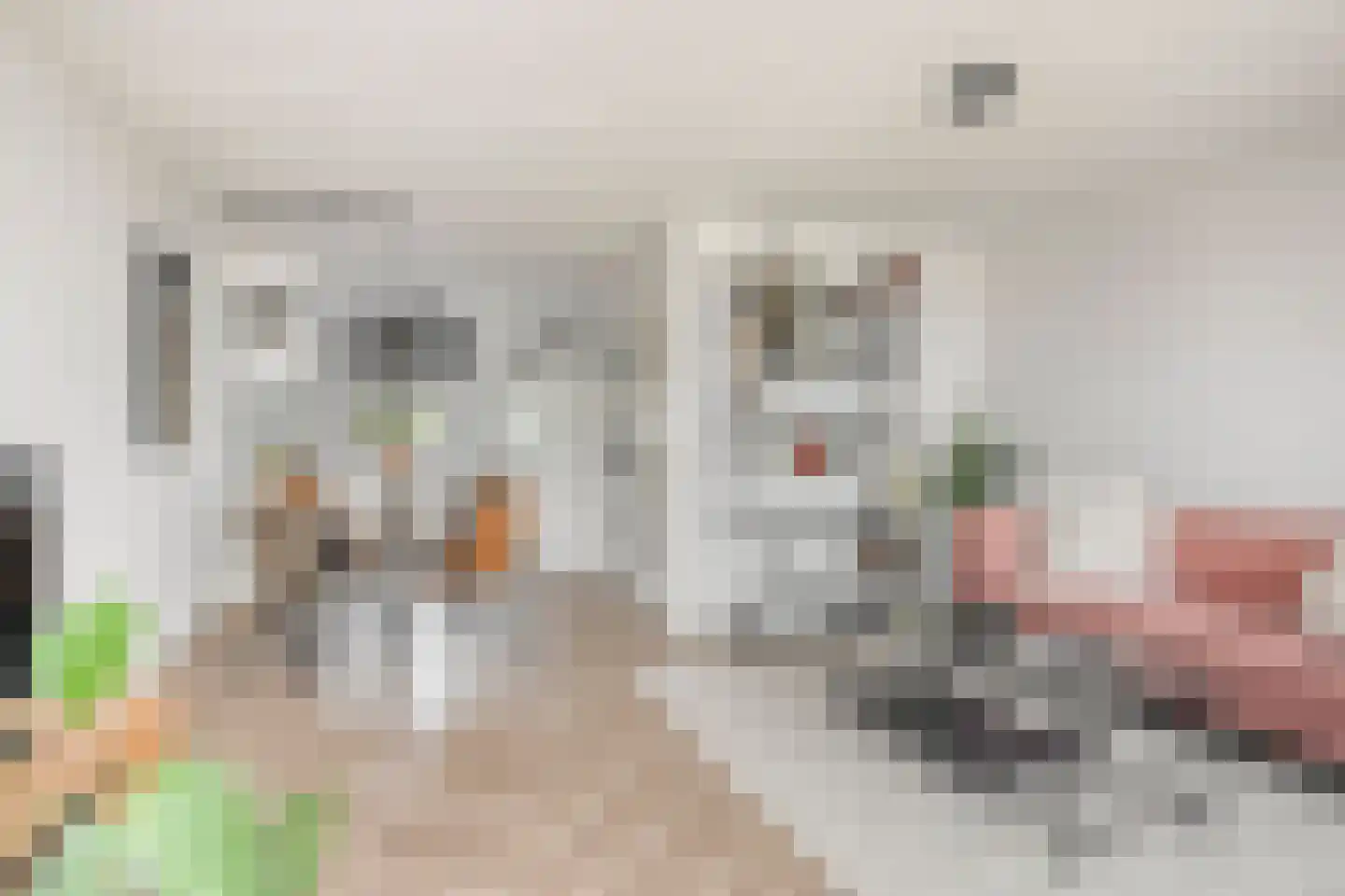 Dr. W.M. Verhaarlaan 69 Emmeloord thumbnail 12