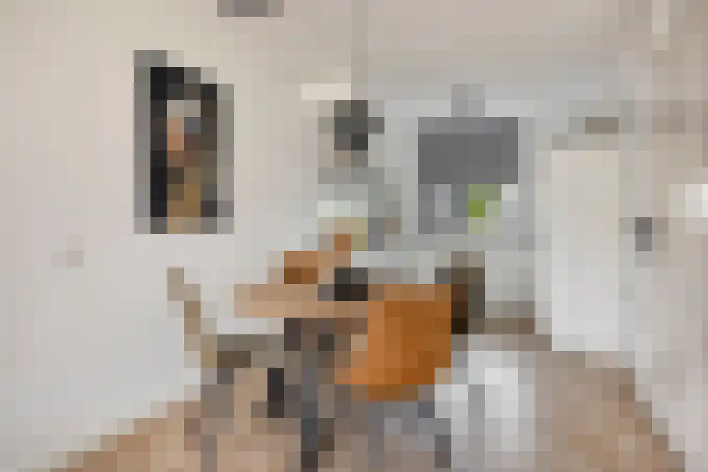Dr. W.M. Verhaarlaan 69 Emmeloord thumbnail 13