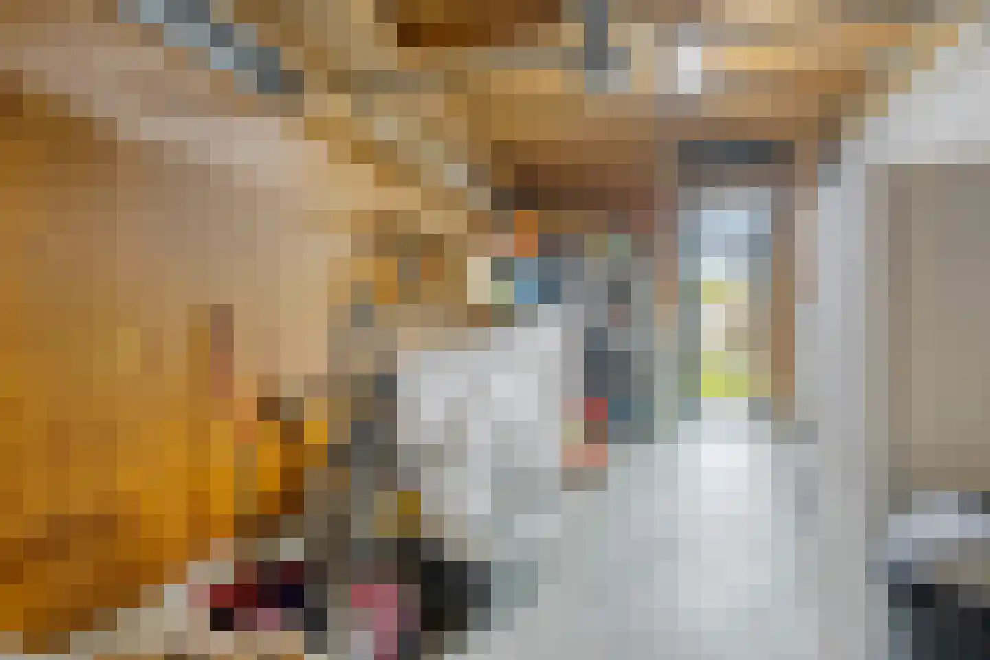 Dr. W.M. Verhaarlaan 69 Emmeloord thumbnail 26