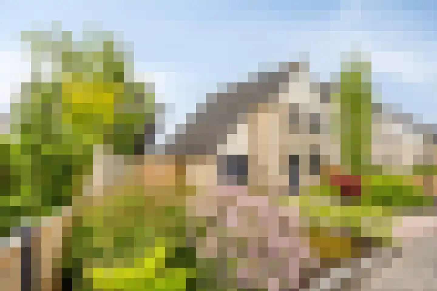 Dr. W.M. Verhaarlaan 69 Emmeloord thumbnail 33