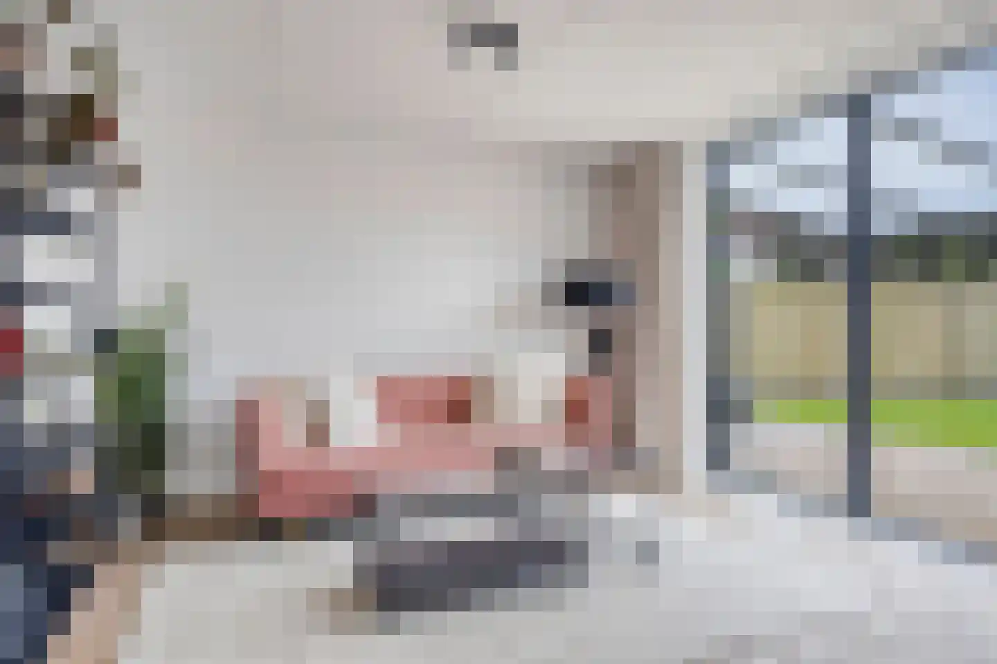 Dr. W.M. Verhaarlaan 69 Emmeloord thumbnail 9