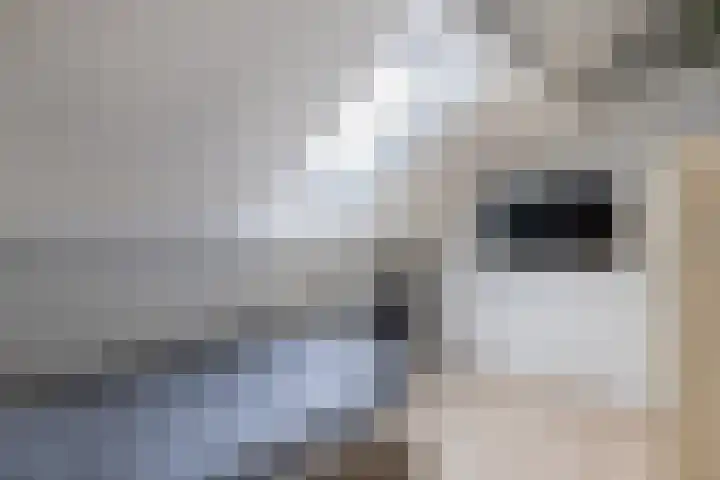 Dr. W.M. Verhaarlaan 8 Emmeloord thumbnail 22