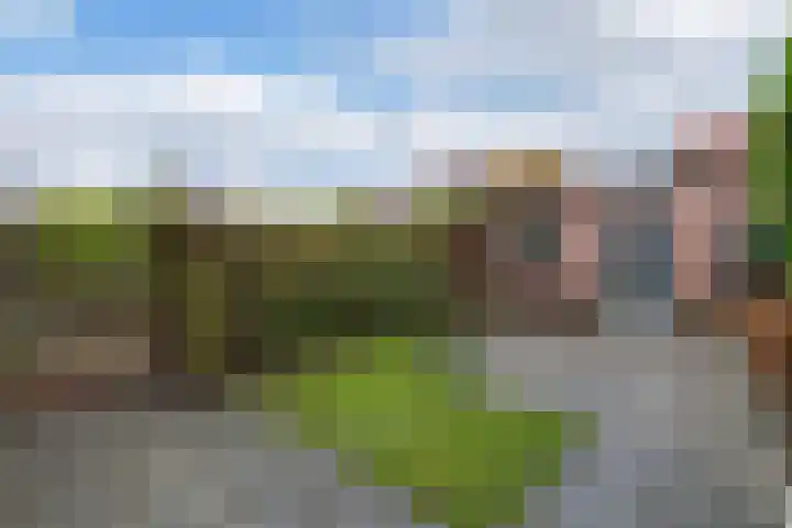 Dr. W.M. Verhaarlaan 8 Emmeloord thumbnail 25