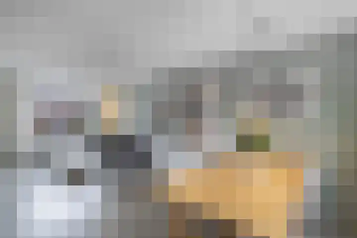 Dr. W.M. Verhaarlaan 8 Emmeloord thumbnail 4