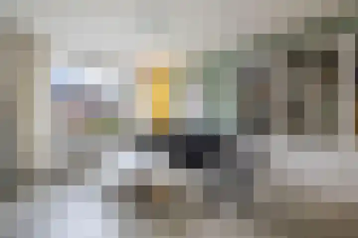 Dr. W.M. Verhaarlaan 8 Emmeloord thumbnail 5