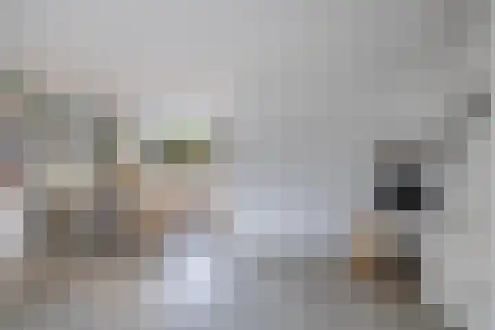 Dr. W.M. Verhaarlaan 8 Emmeloord thumbnail 7