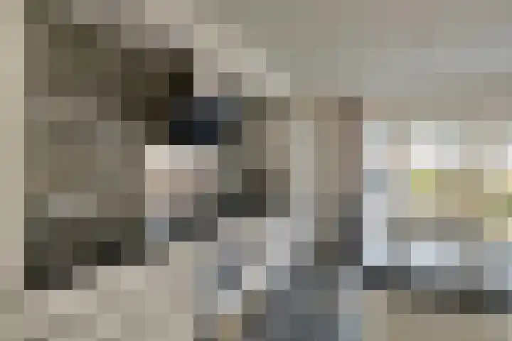 Dr. W.M. Verhaarlaan 80 Emmeloord thumbnail 15