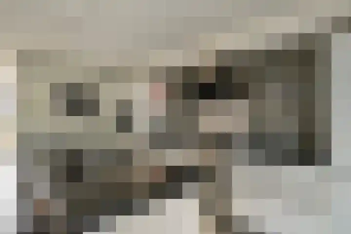 Dr. W.M. Verhaarlaan 80 Emmeloord thumbnail 16