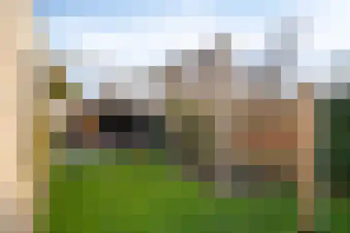 Dr. W.M. Verhaarlaan 80 Emmeloord thumbnail 44