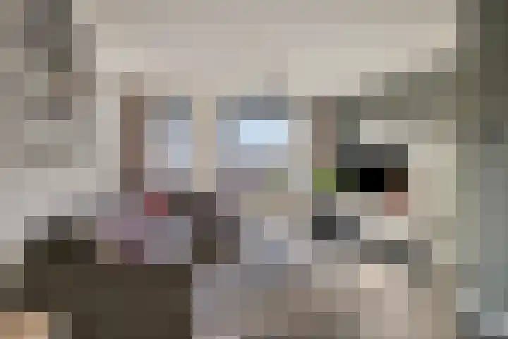 Dr. W.M. Verhaarlaan 80 Emmeloord thumbnail 8