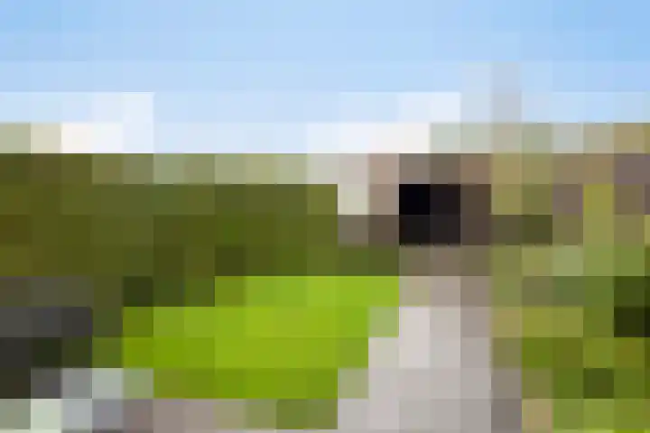 Dr. W.M. Verhaarlaan 85 Emmeloord thumbnail 27