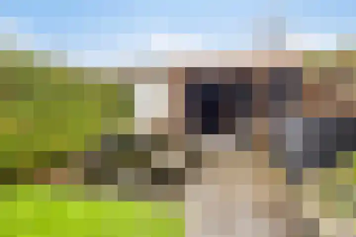 Dr. W.M. Verhaarlaan 85 Emmeloord thumbnail 28