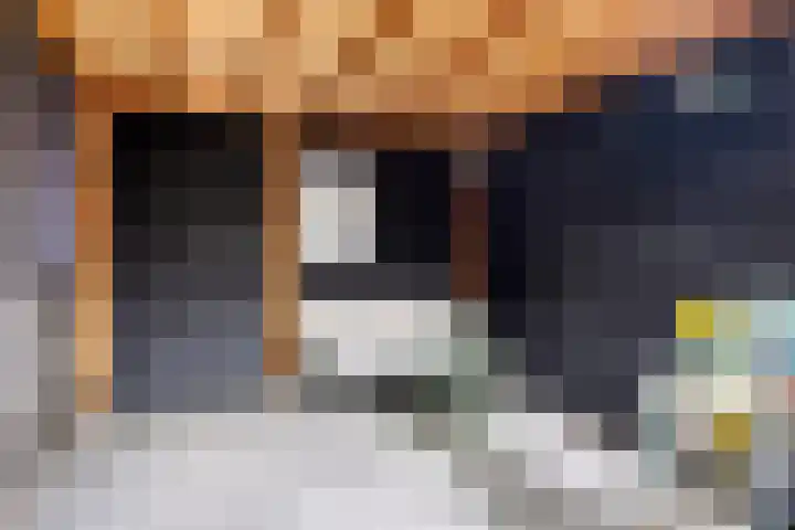 Dr. W.M. Verhaarlaan 85 Emmeloord thumbnail 29