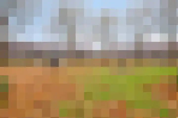 Dr. W.M. Verhaarlaan 85 Emmeloord thumbnail 35
