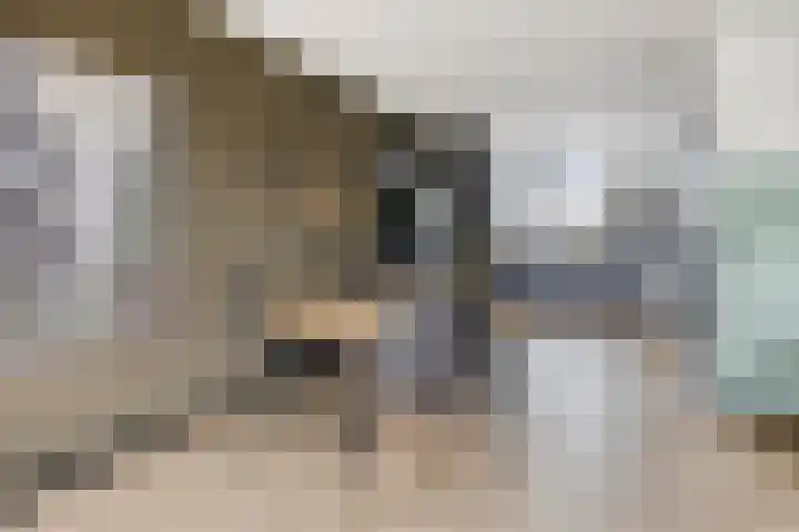 Dr. W.M. Verhaarlaan 85 Emmeloord thumbnail 9