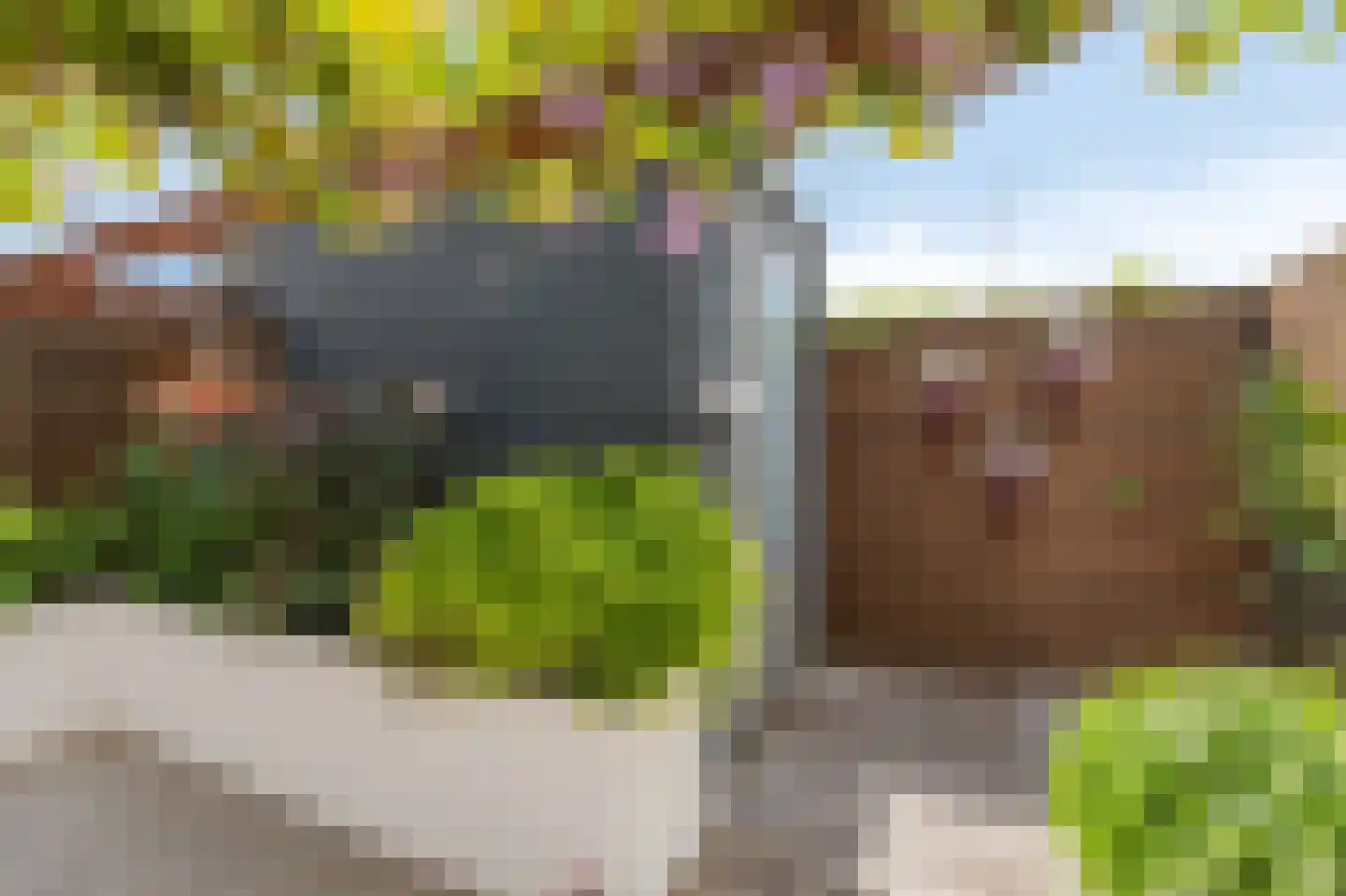 Dr. W. Portheinestraat 9 Velp thumbnail 30
