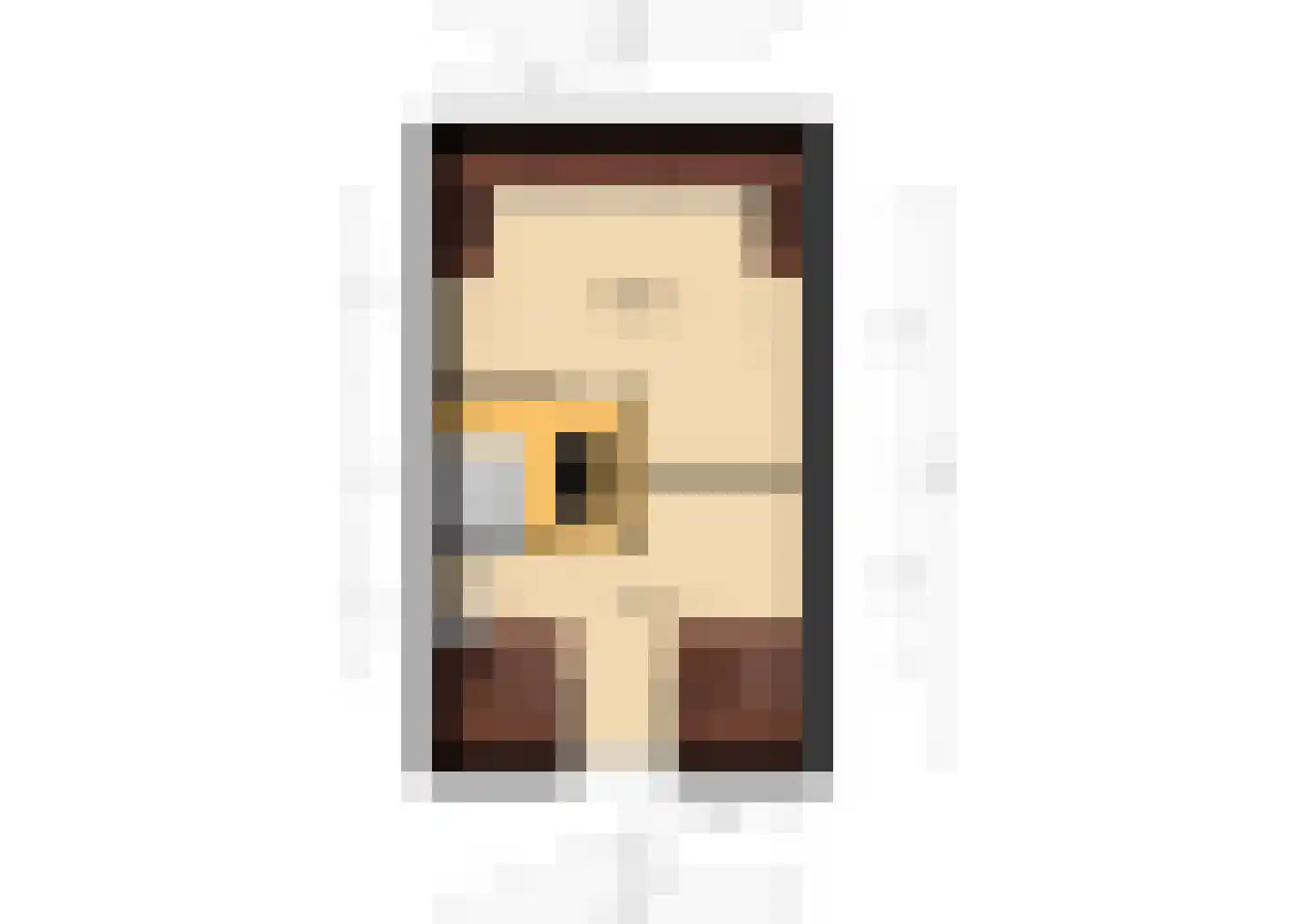 Dr. W. Portheinestraat 9 Velp thumbnail 37