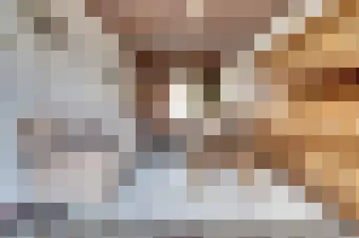 Dr Weitjenslaan 10 Poeldijk thumbnail 4