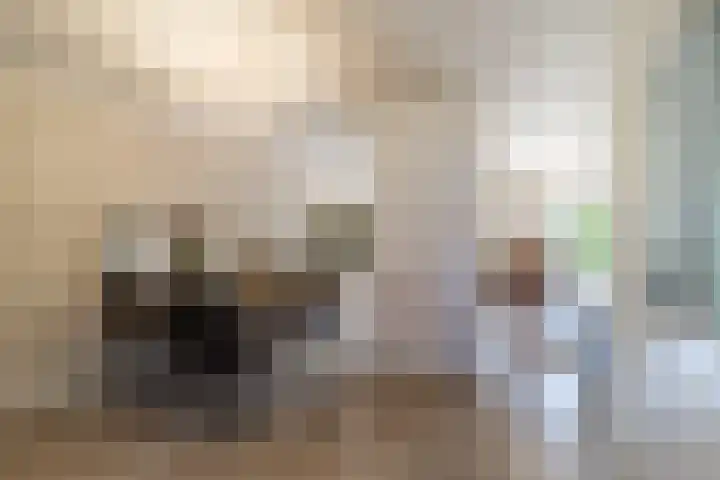 Dr Weitjenslaan 48 Poeldijk thumbnail 8
