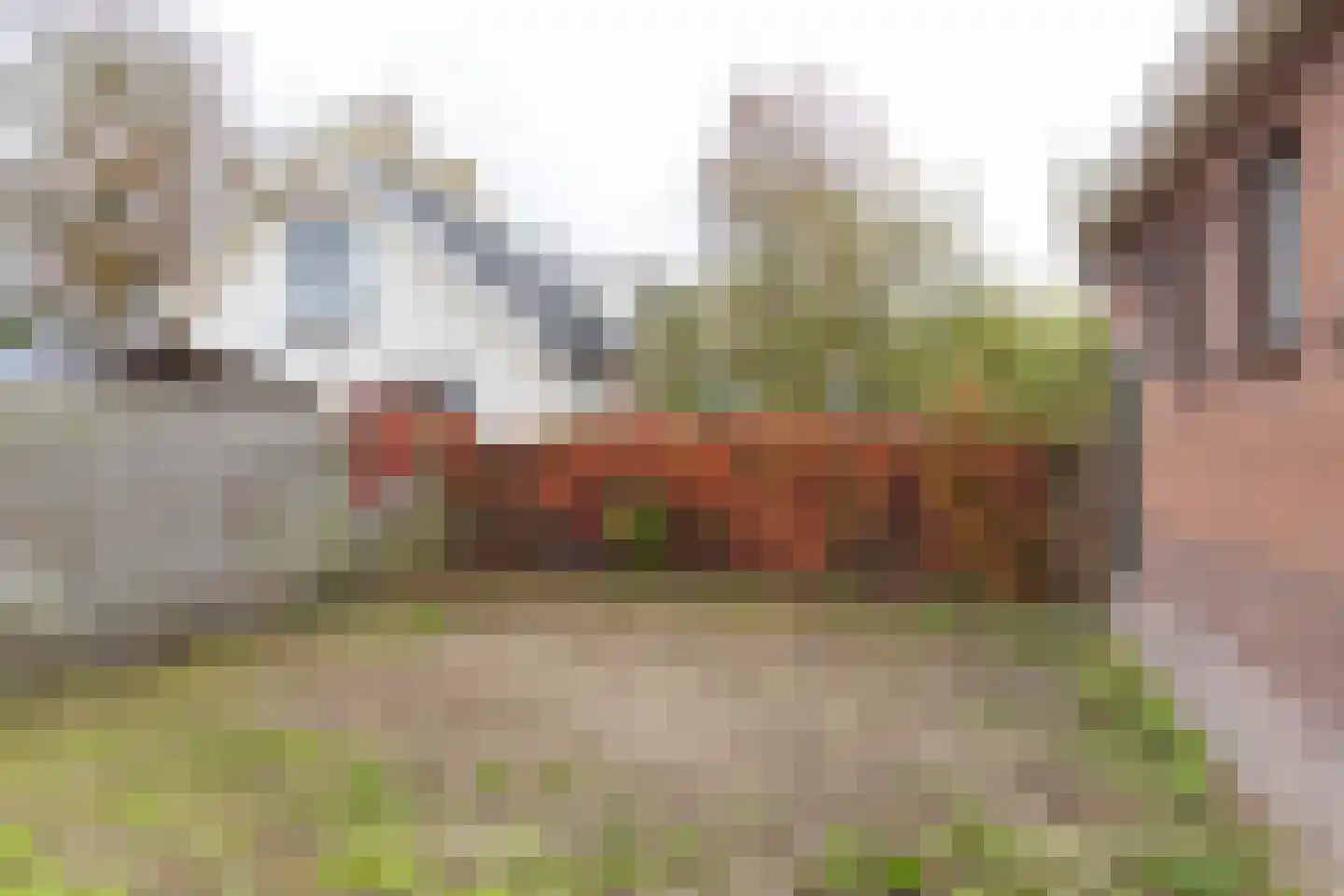 Dr. Welfferweg 36 Westbroek thumbnail 37