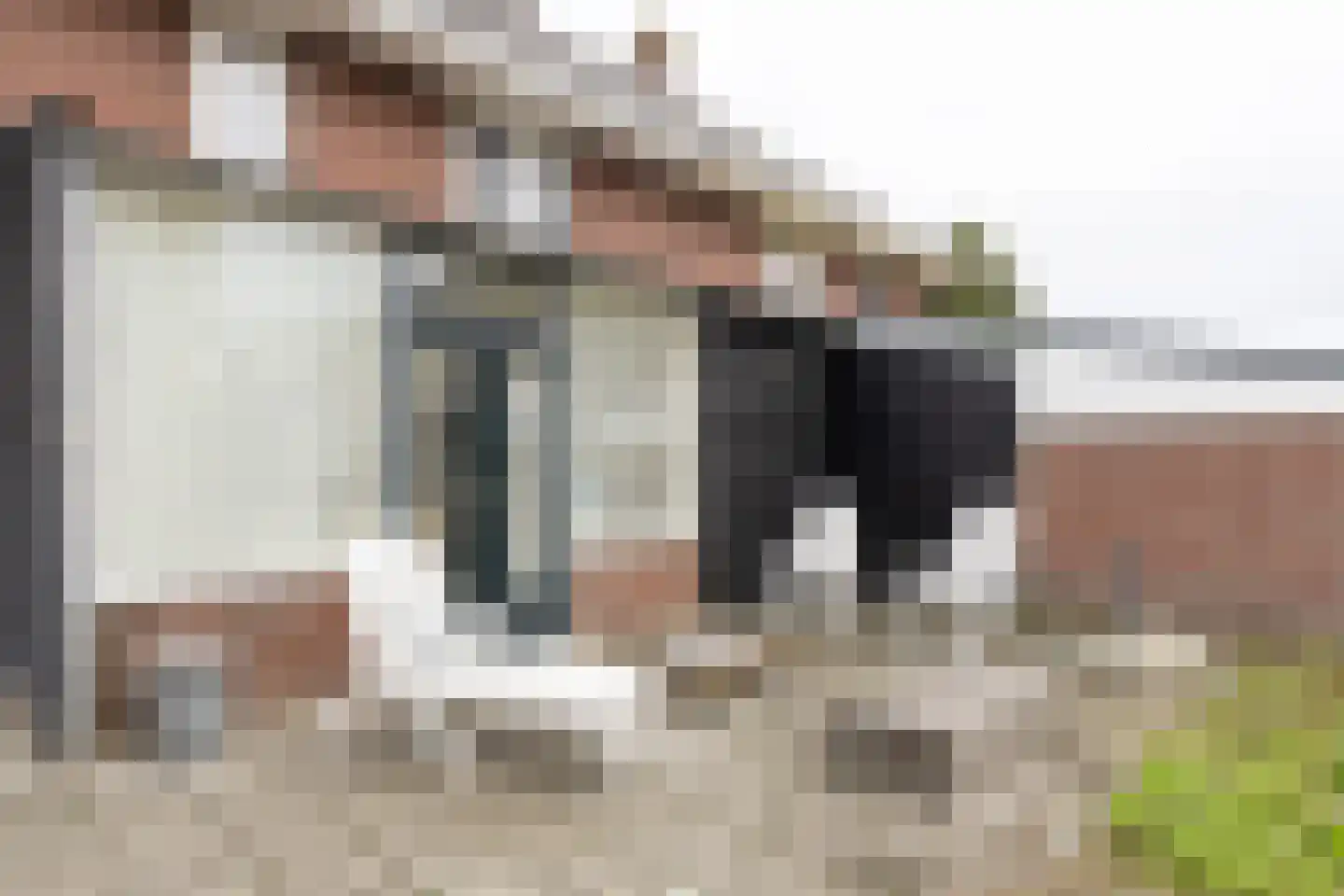 Dr. Welfferweg 36 Westbroek thumbnail 41