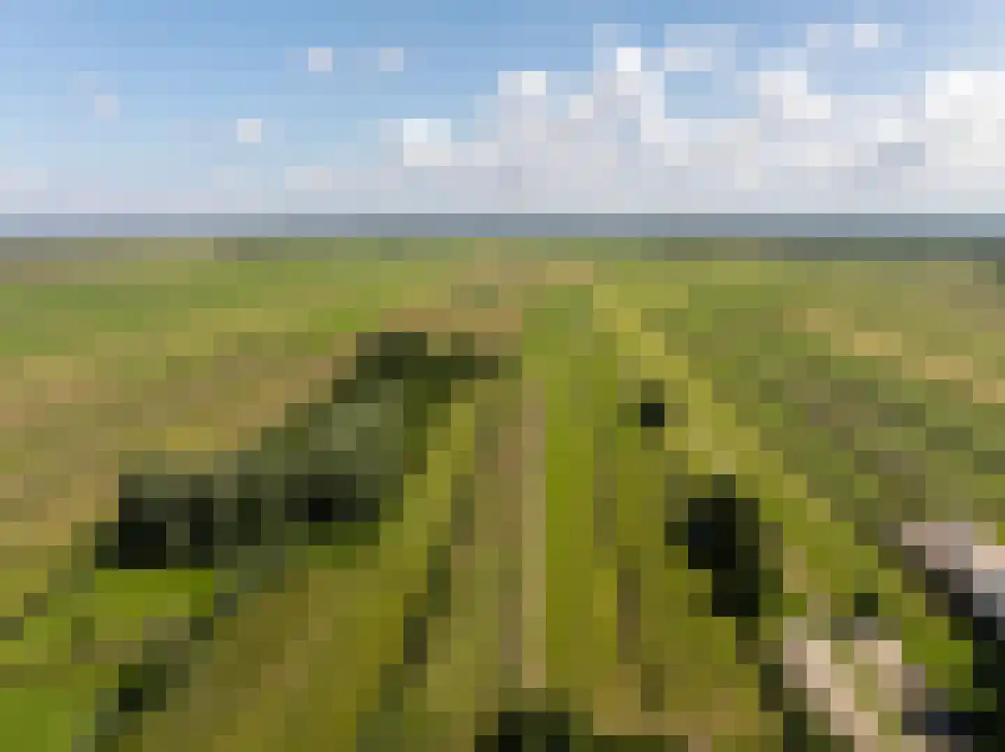 Dr. Welfferweg 86 A Westbroek thumbnail 47