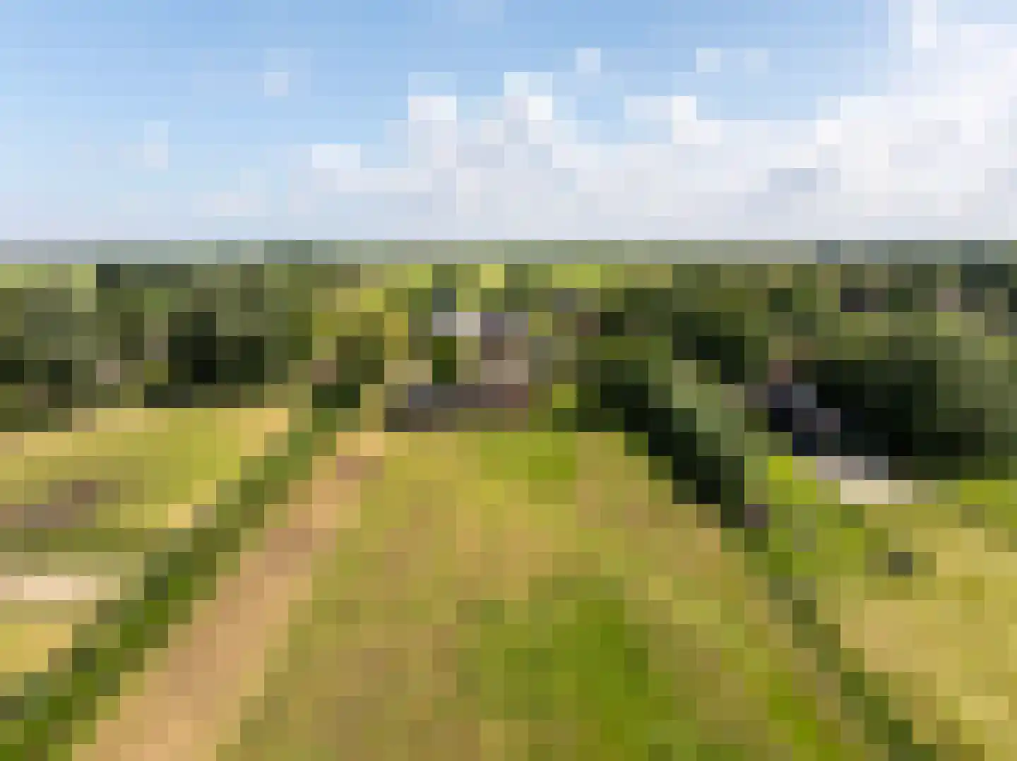 Dr. Welfferweg 86 A Westbroek thumbnail 59