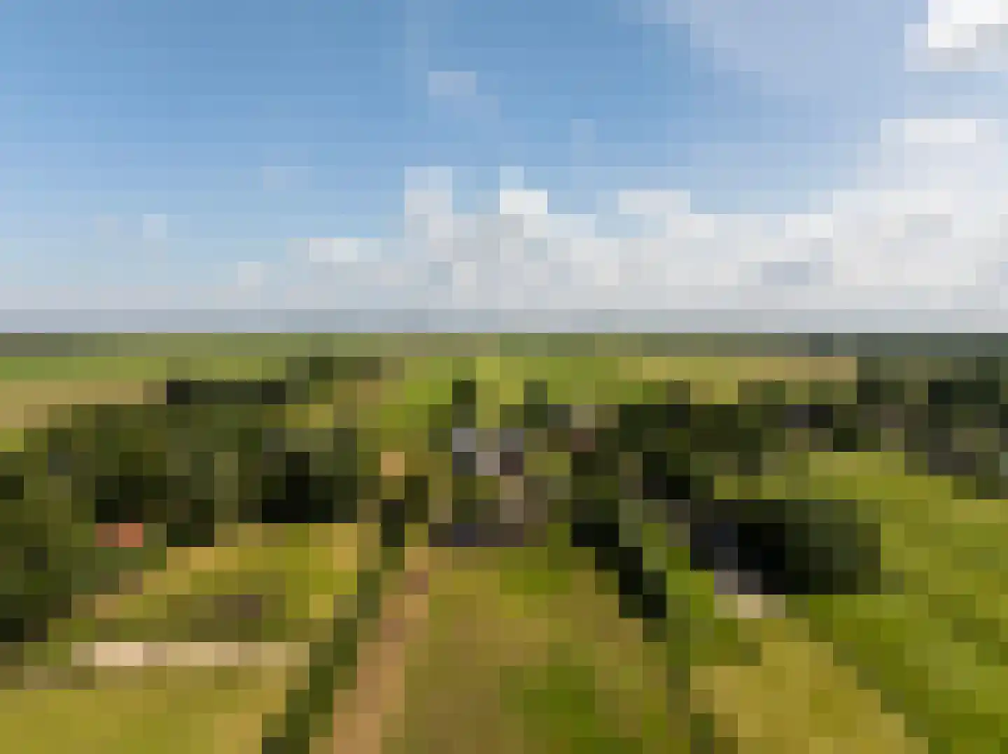 Dr. Welfferweg 86 A Westbroek thumbnail 62